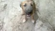 Luma