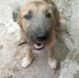 Luma