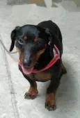 Não sei