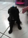 AINDA NAO TEM