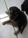 AINDA NAO TEM