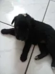 AINDA NAO TEM