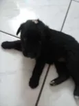 AINDA NAO TEM