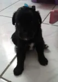 AINDA NAO TEM