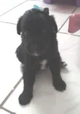 AINDA NAO TEM