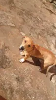 Gabi, xiru