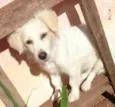 Gabi, xiru