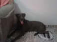 Eros