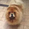 Kira