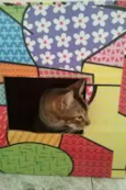Tico e Madô