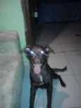 Nina