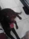 Nina