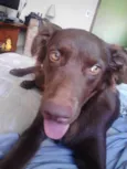Nina