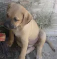 Charlie