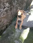 Charlie