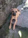 Charlie