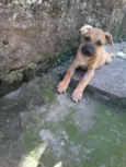 Charlie