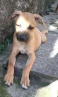 Charlie