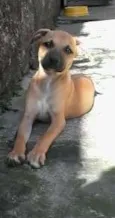 Charlie