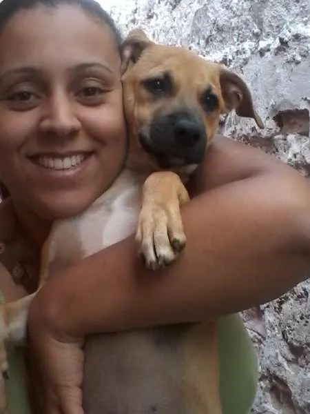 Cachorro ra a SRD idade 2 a 6 meses nome Charlie