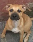 Charlie