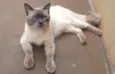 Judá