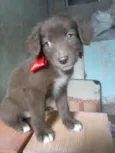 nao tem