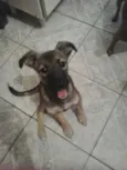 Princesa