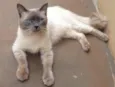 Judá