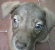 nao tem