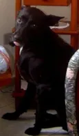 tob