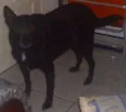 tob