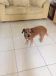 Meg