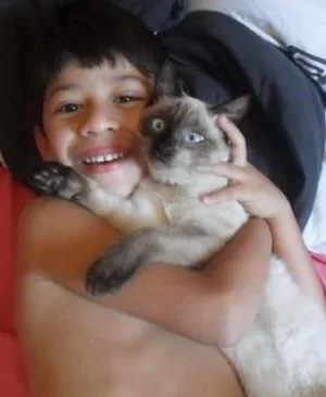 Gato raça Siamês idade 1 ano nome Nita