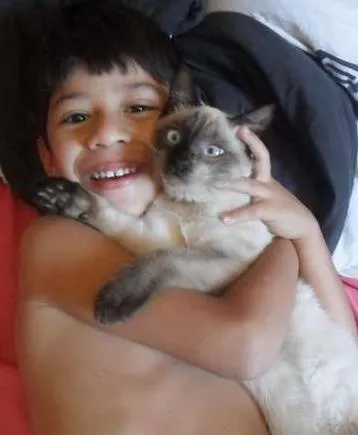Gato ra a Siamês idade 1 ano nome Nita