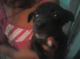 nao tem