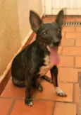 Encontrada 28/02/14