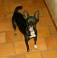 Encontrada 28/02/14