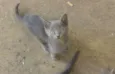 Bebê