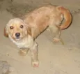 Lindos irmãos