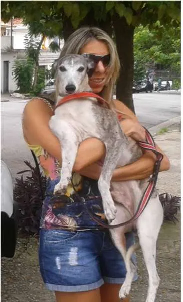 Cachorro ra a WHIPPET idade 2 anos nome LORD