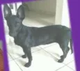 Mel