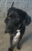 Neguinho