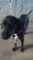 Neguinho