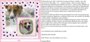 Cachorro raça indefinida idade 1 ano nome Mel