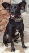 Nina