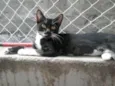 Jully