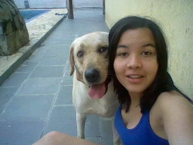 Cachorro ra a Labrador idade 3 anos nome Tony