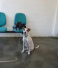 Lolita