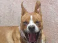 Manu